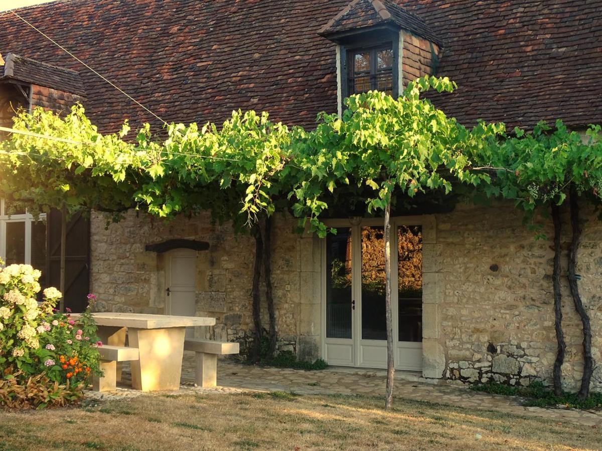 Demeure Du Vallon - Chambres D'Hotes De Charme アゼラ エクステリア 写真