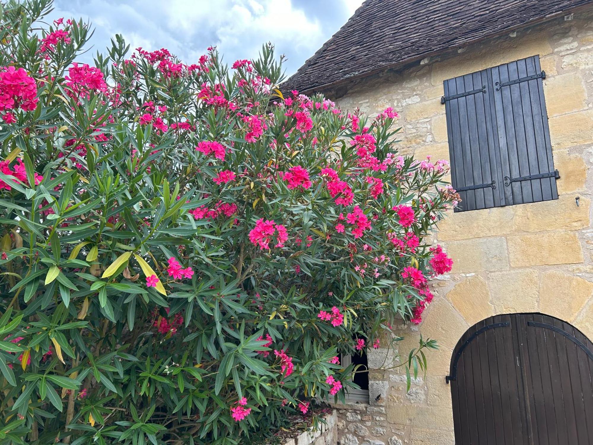 Demeure Du Vallon - Chambres D'Hotes De Charme アゼラ エクステリア 写真